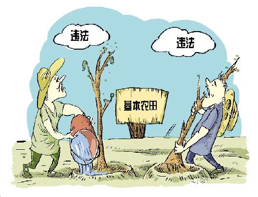 变不回来的基本农田