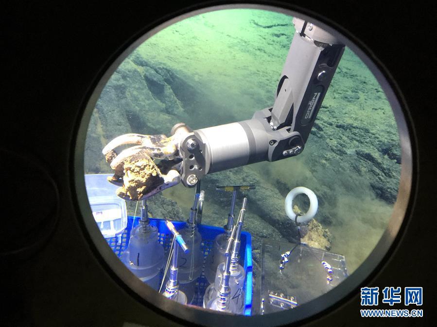 蛟龙号深潜马里亚纳海沟发现30cm紫色海参