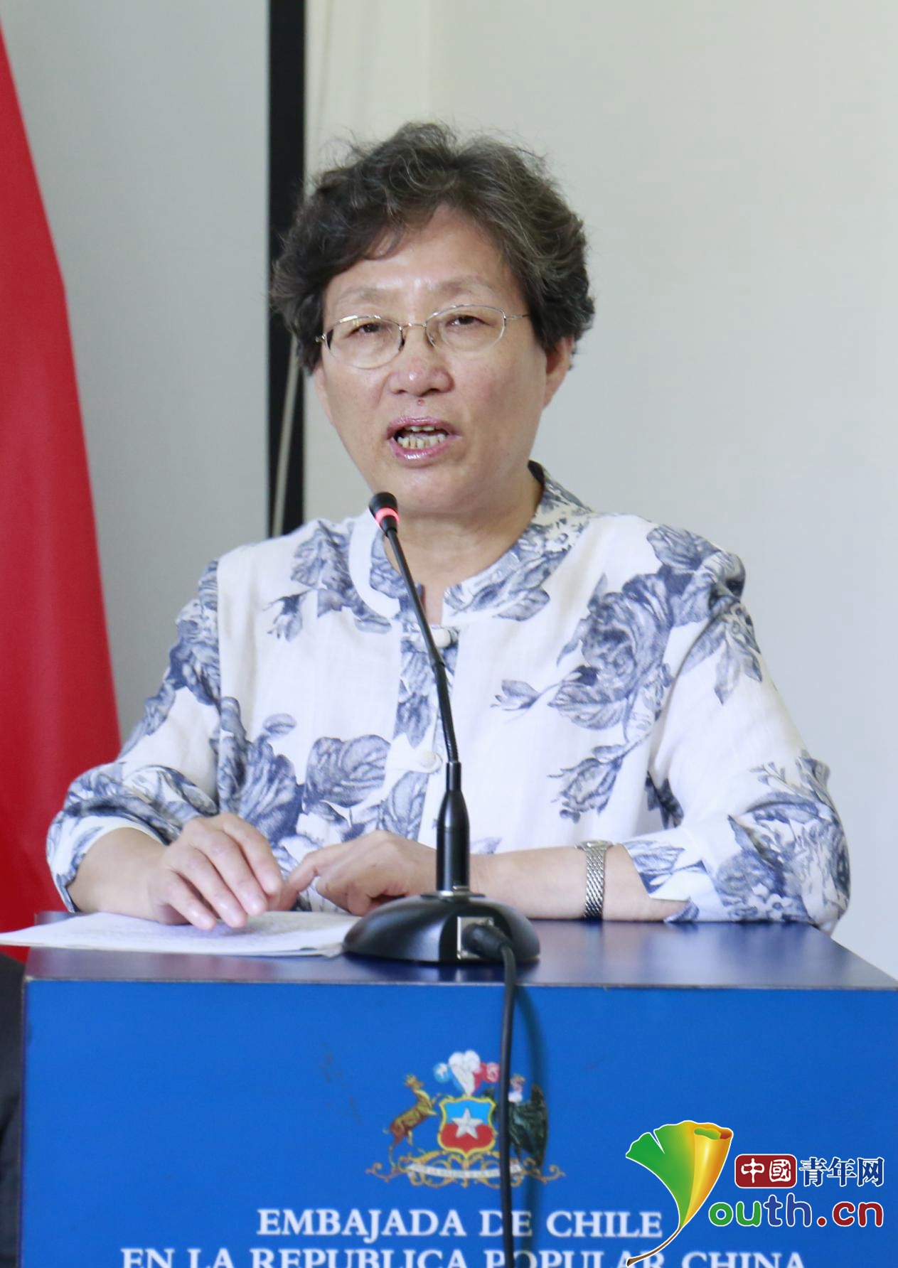 中国前驻智利大使刘玉琴致辞.中国青年网通讯员王金笛摄.