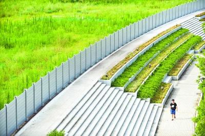 拼装式防洪墙首次"上阵"