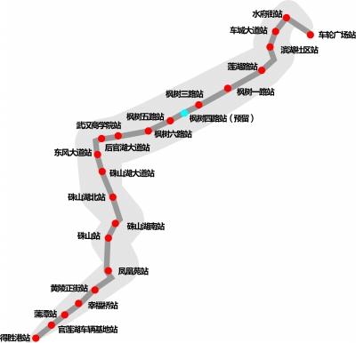 沌口t1电车路线图片