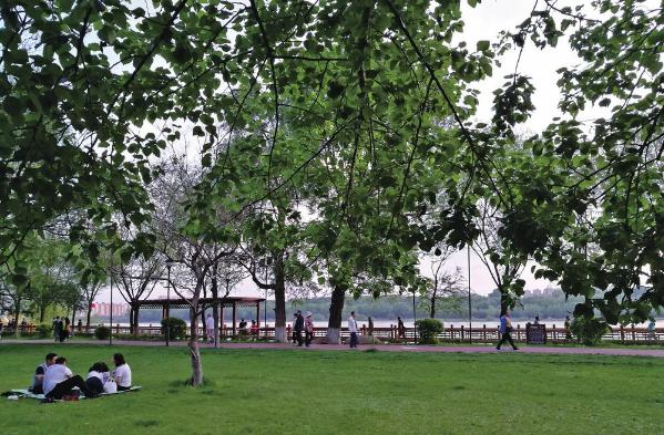 流琴伴月原生态 夜咏松江百里廊