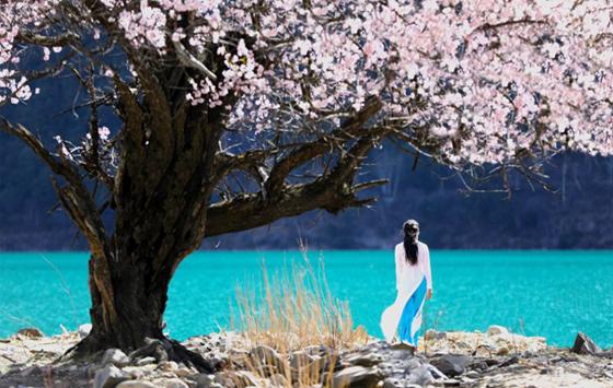 ���й����ۡ��ײ��ƻ�����С˵δ���Ȼ𵽹�����