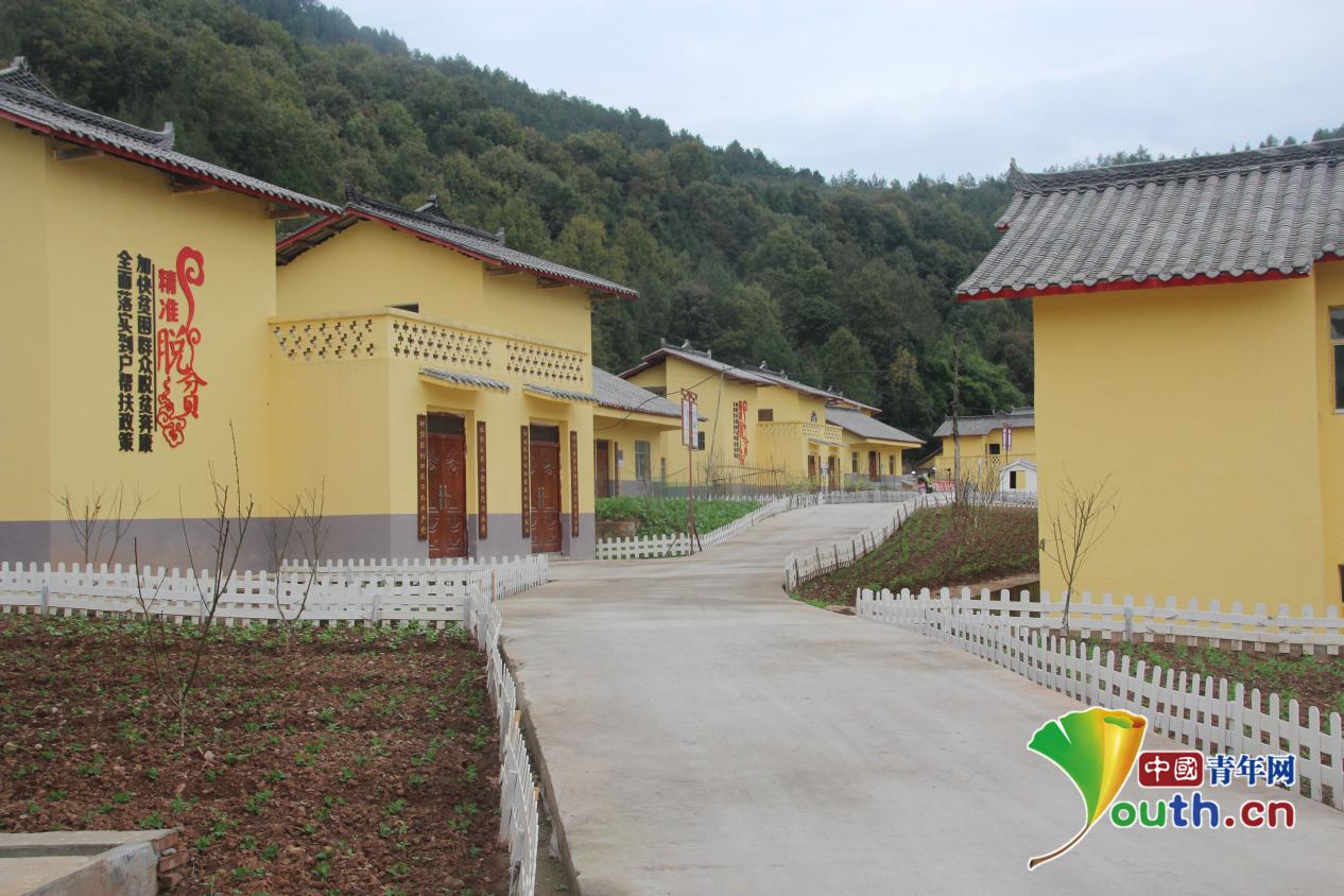 通江县广纳镇龙家扁村移民新居.李岗 摄