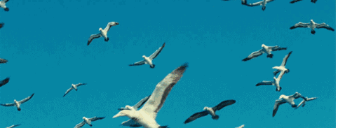 482_183gif 动态图 动图