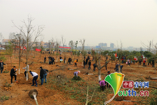 德阳市罗江区开展春季义务植树活动