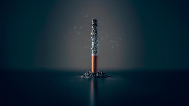 �й��̲��ܹ�˾�����ܶ�� �̲ݹ�˾��ƽ������18.7��