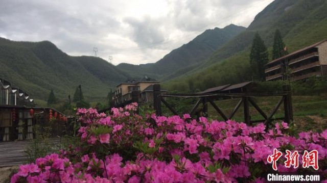 ���־�ڰ���ɽ��Ͷ�ʵ���Ŀ ���־ ��ͼ