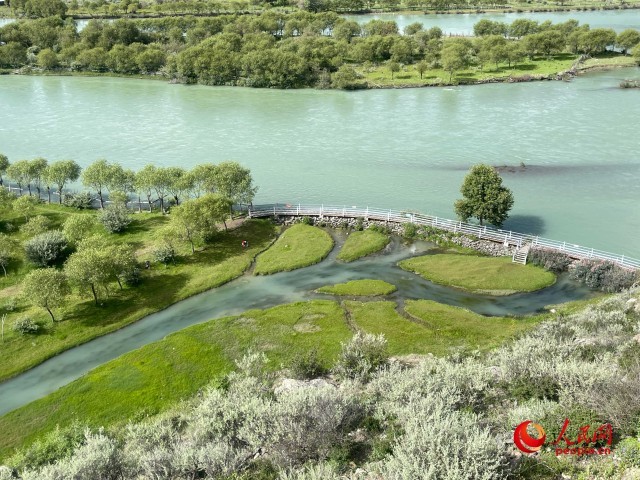 夏日的雅尼国家湿地公园生机盎然,如诗如画。人民网 周静圆摄