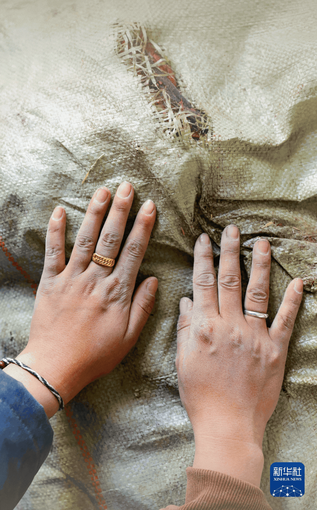 ���յ���حһ˫�� һȺ�� ������ů