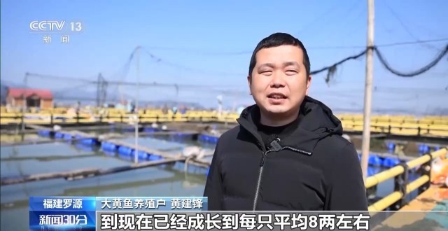 �ϴ󼯡���ĩ�����������������������ð������