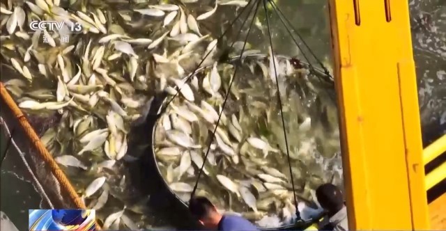 �ϴ󼯡���ĩ�����������������������ð������