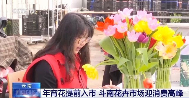 �ϴ󼯡���ĩ�����������������������ð������