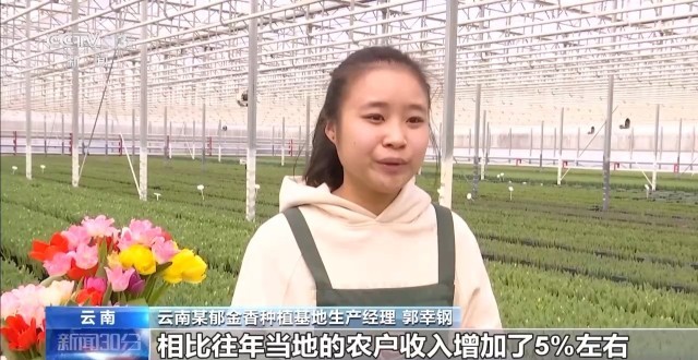 �ϴ󼯡���ĩ�����������������������ð������