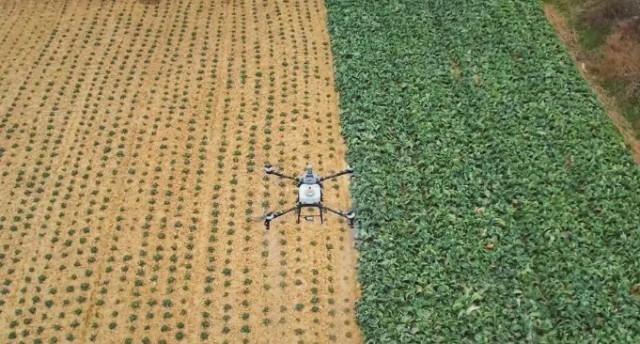 �������й�������ˮůѼ��֪��һ�ܡ����˻����ɳ��Ϳ������