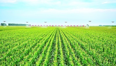 ��Я�ֱ����ִ��������졿��ôһ��������������ũҵ��ı��ˣ�