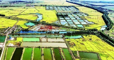 ��Я�ֱ����ִ��������졿��ôһ��������������ũҵ��ı��ˣ�