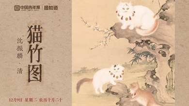 ��è��ͼ���������Ӱ ��è����.jpg