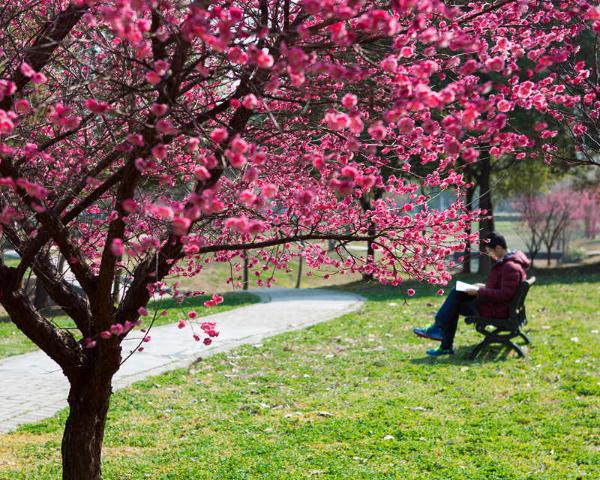 ���ϴ�ѧ ��Ӱ ����