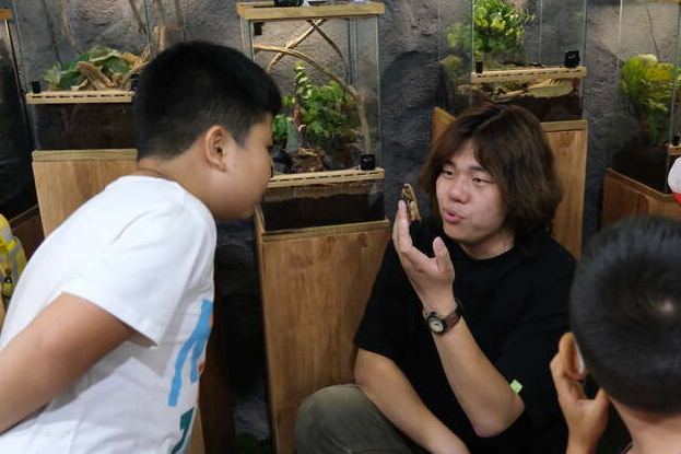 广东省博物馆开启暑期夜游模式