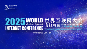 2025�����绥�������