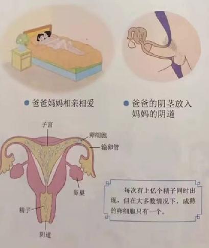 小学生性教育读本尺度引争议网友堪称赤果果