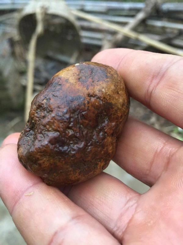 村民所挖的"宝石". 当地村民供图