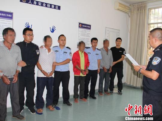 云南西双版纳4人非法砍伐森林被逮捕