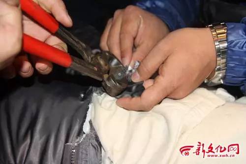 5���к����屻��ס �޺�:��Ҫ�ü��� ���豣����