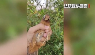 4���ӷǷ�����1263ֻ��ü�� ��߻��������.jpg