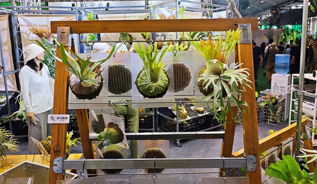 20251117093128919 (1)_.jpg