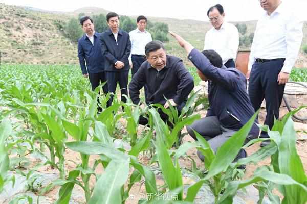 习近平总书记到山西考察调研