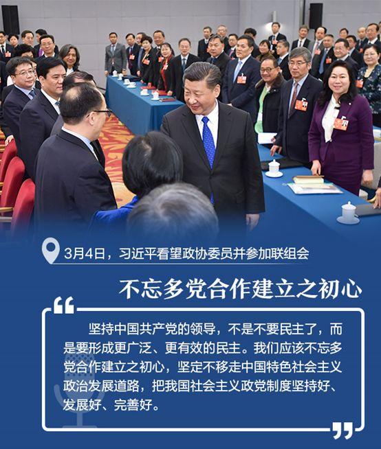 原声相册!两会下团组,习近平这些话发人深省