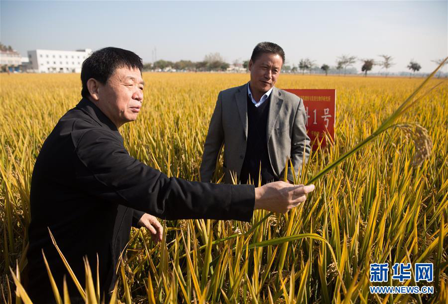 习近平两院院士大会讲话反响热烈:总书记懂科技人才,接地气!