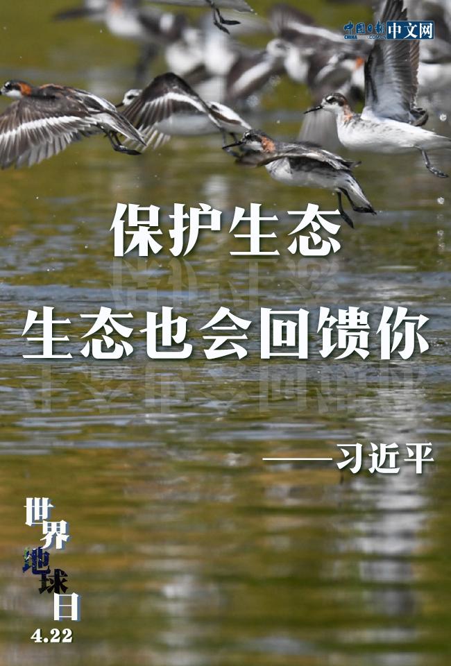 世界地球日珍爱地球保护环境习近平情系绿水青山