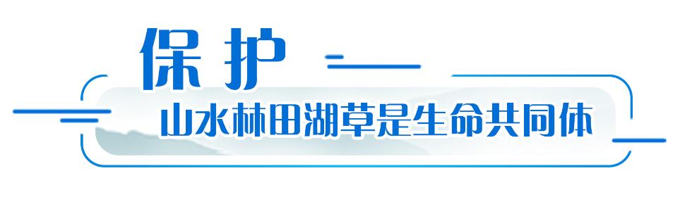 在汾河之滨读懂习近平生态文明思想的丰富内涵