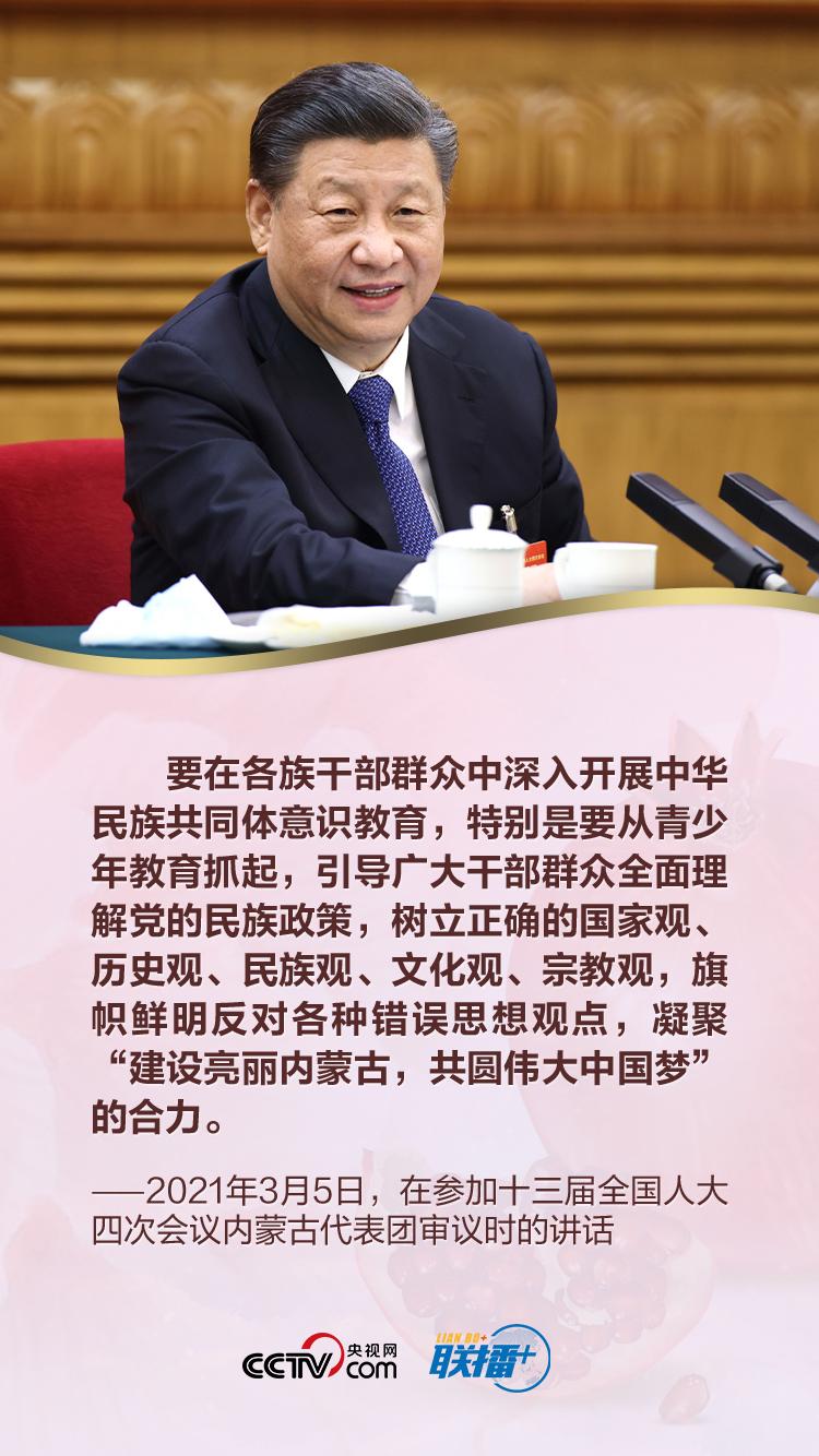 做好新时代民族工作 习近平要求牢牢把握这一主线_新闻频道_中国青年