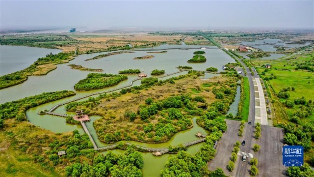 ���»�ȫýͷ����ͼ�Ļ�������3����������һ����δ������������ϰ��ƽ��ϯ2022������ش�