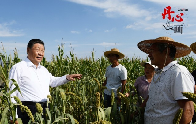 2021年9月13日,习近平总书记在陕西省榆林市米脂县银州街道高西沟村