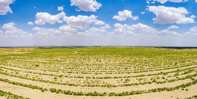 2023��6��7�գ����ɹŶ�����˹��ë����ɳĮ��