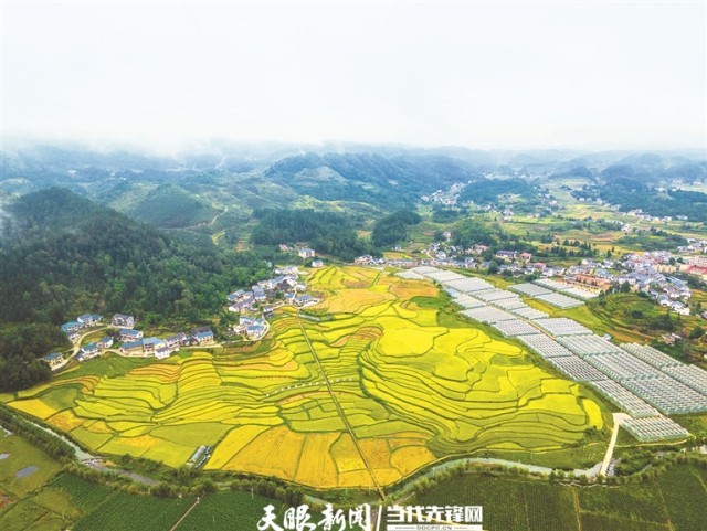 ��ï����԰������续�� ���Ǻ� ��.jpg