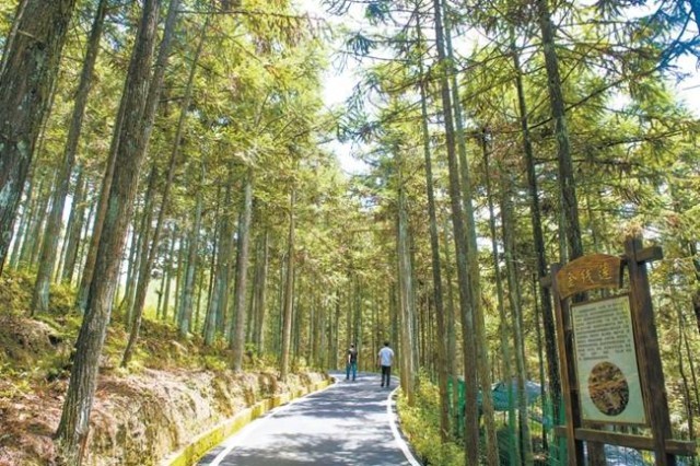 ���������ػ��񷼼�ͥ�ֳ�����ͼԴ���������ţ�