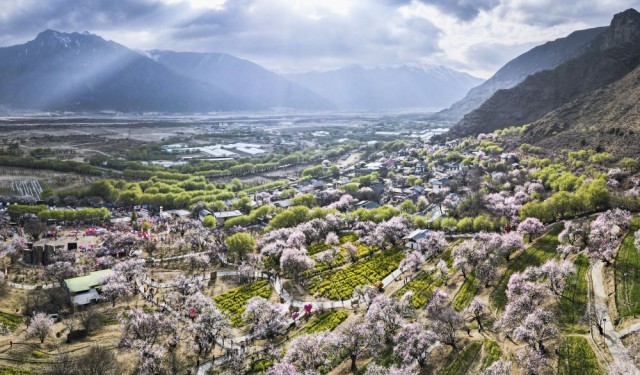 �������һ������˻���Ƭ������������ڴ��ع�·������Ϊ���ء��һ���һ�塱��ͼƬ��Դ �»���