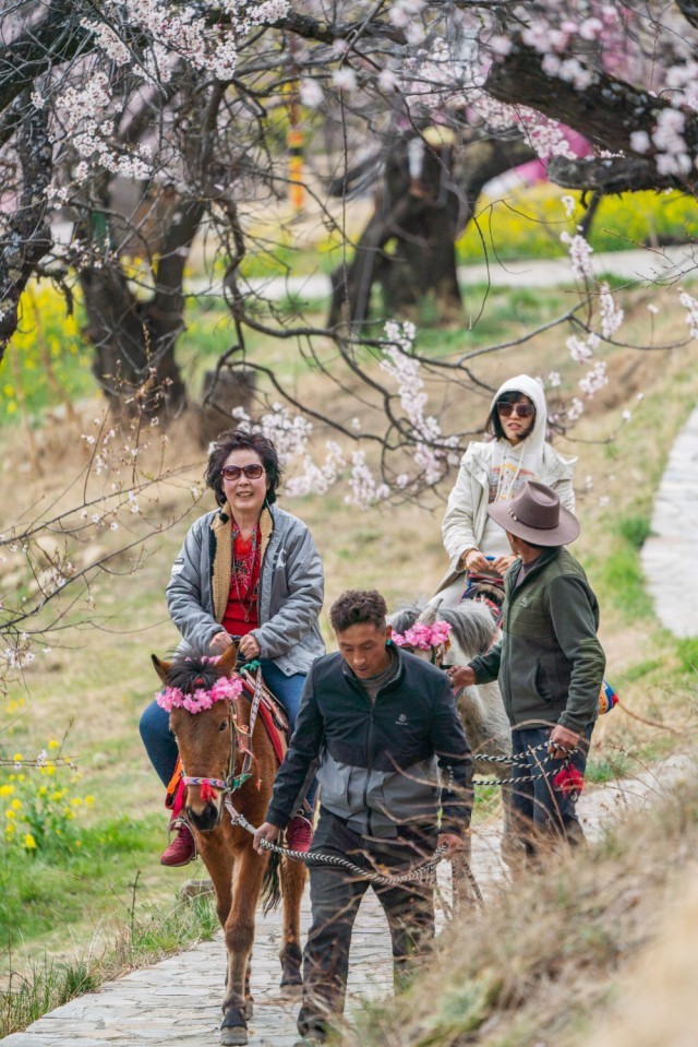 �ο�����֥�и��������������ۻ���ͼƬ��Դ �»���