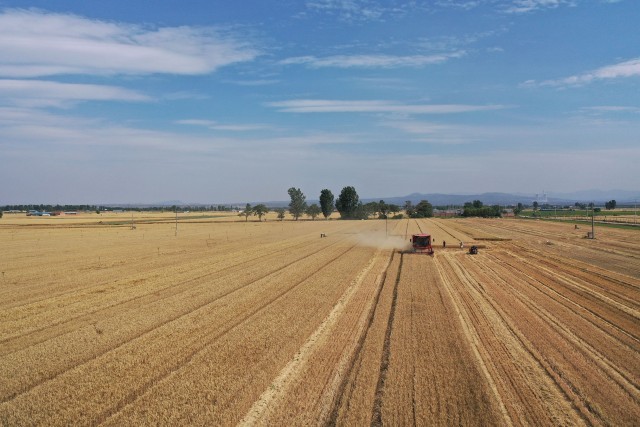 2025��6��3�գ����Ͻ��������ػƺӽֵ�̲��ׯ��ũ���ʻ�ո���ջ�С��