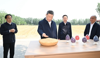 �������ϵ���й����롱.jpg
