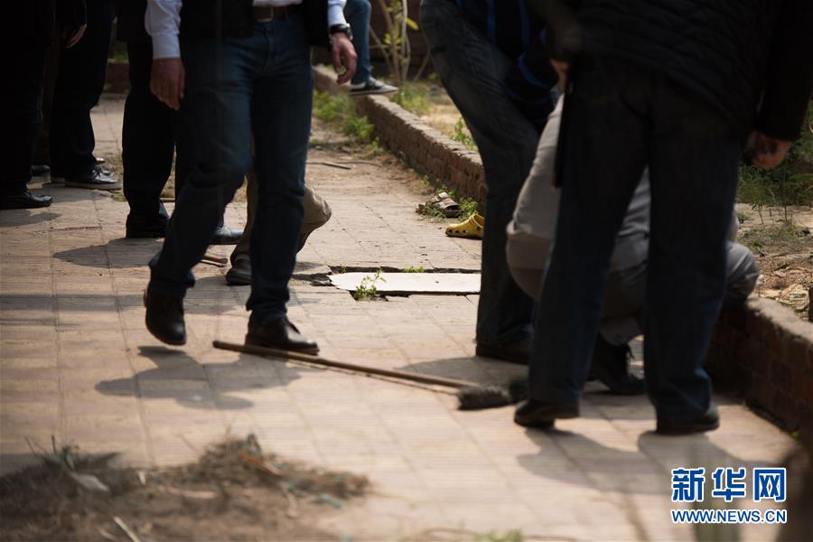 �����н�������ը