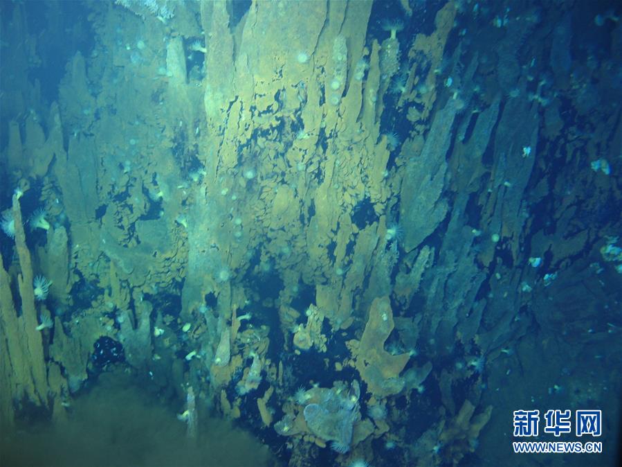 ��ͼ�Ļ�������1��������������������Һ�����ִ��������̴���